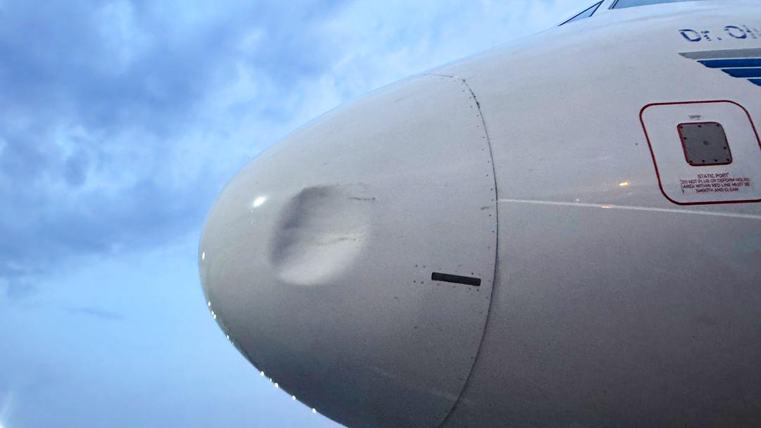 Third bird strike in 48 hours grounds United Nigeria aircraft, deepens disruption concerns