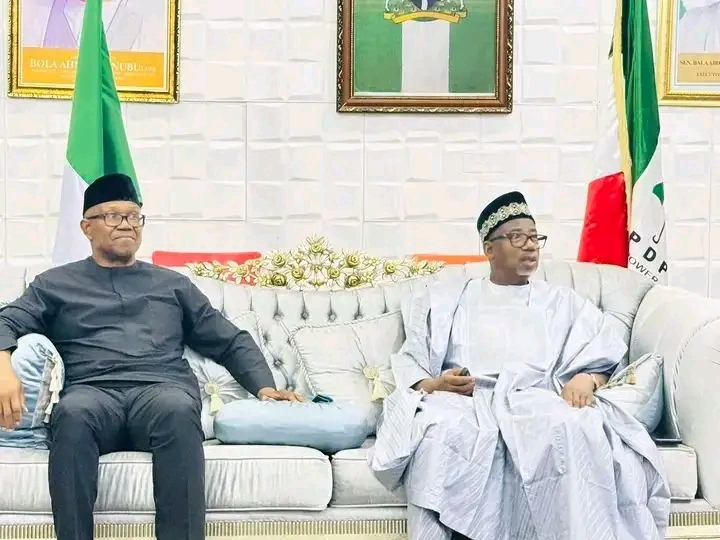 Bauchi governor hosts Peter Obi, says he’s searching for viable political platform