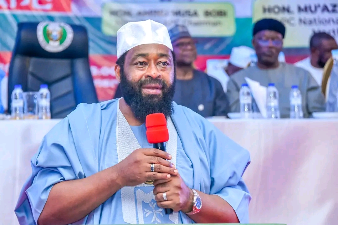 Niger moves to formalise zoning, proposes cap for elective offices