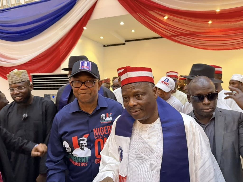NDC Convention: Kwankwaso backs zoning of presidential ticket to South
