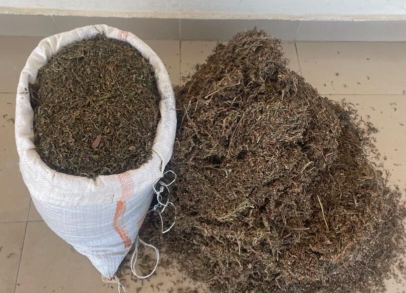 Police arrest 63-year-old suspected drug dealer, recover bags of cannabis