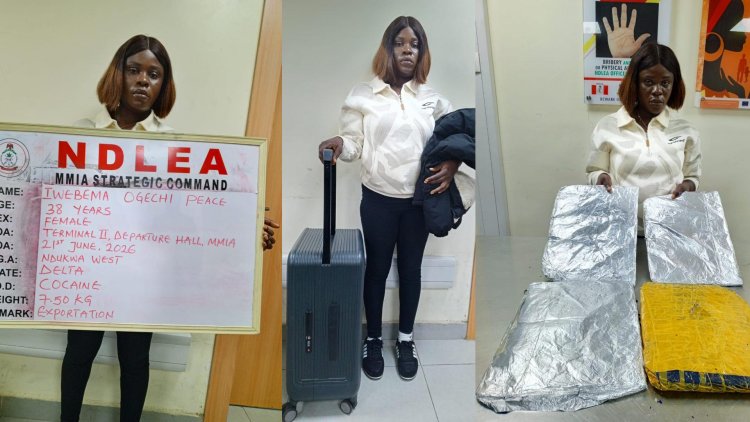 NDLEA seizes N12.4bn cannabis shipment at Lagos port, arrests suspected traffickers