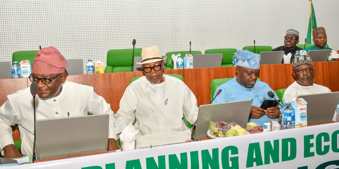 Nigeria needs stronger data system to achieve $1tn economy – Speaker Tajudeen