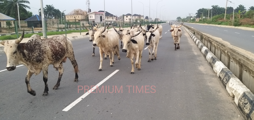 Akwa Ibom magistrate orders journalists, complainant out of court during herder trial