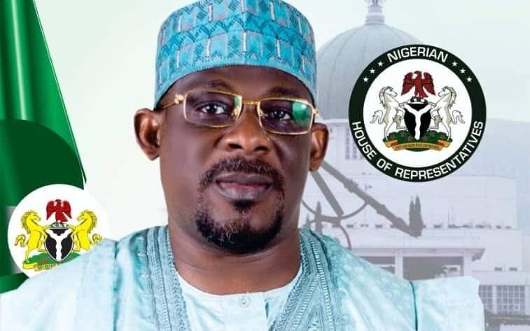 Bashir Usman: Lone lawmaker who voted against State Police bill in House of Reps