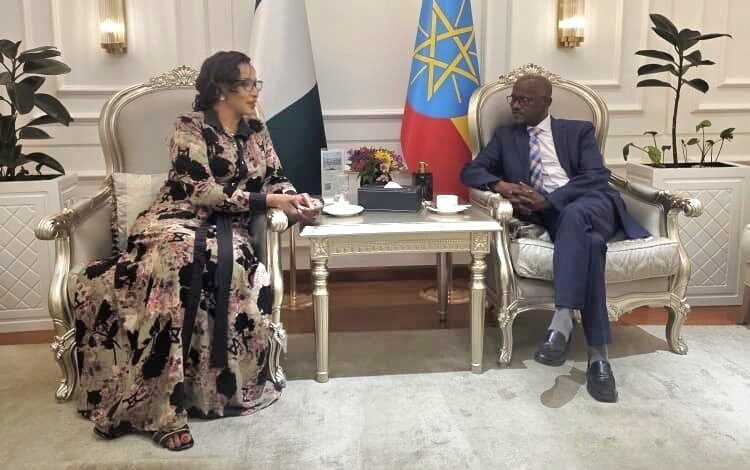 FG secures agreement for transfer of Nigerian prisoners in Ethiopia