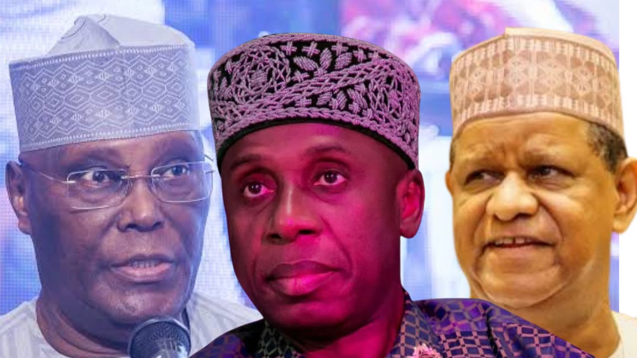 ANALYSIS: ADC primaries expose fault lines in major opposition party