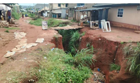Delta community appeals for swift action on ravaging erosion