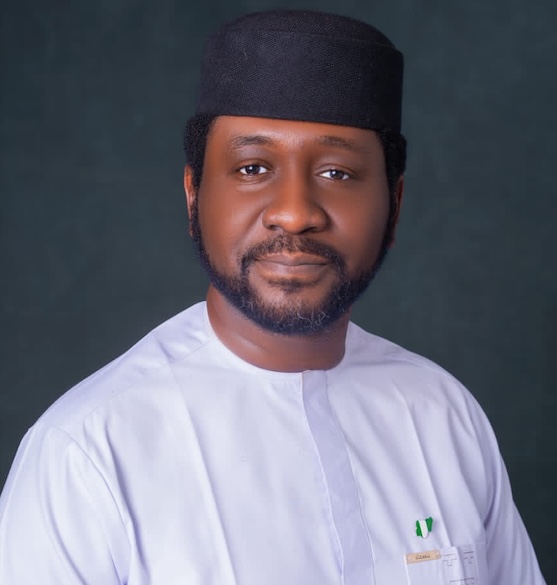 From resource jinx to renewable rising: The choice Nigeria must make, By Terseer Ugbor