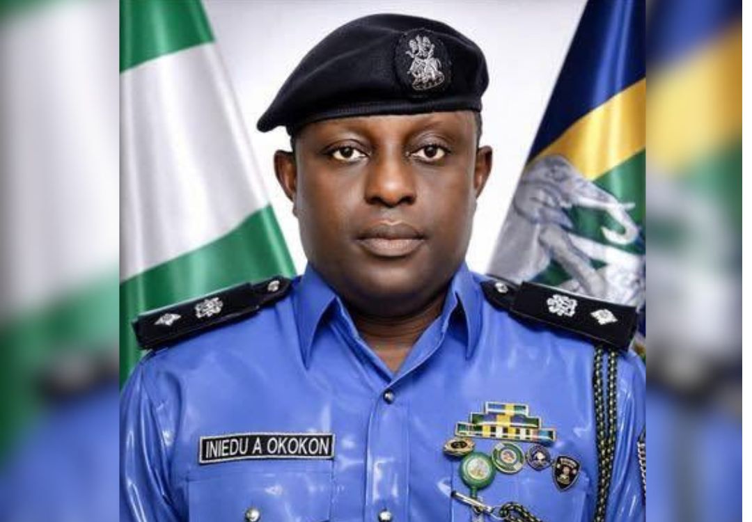 Nigeria Police Force gets new spokesperson