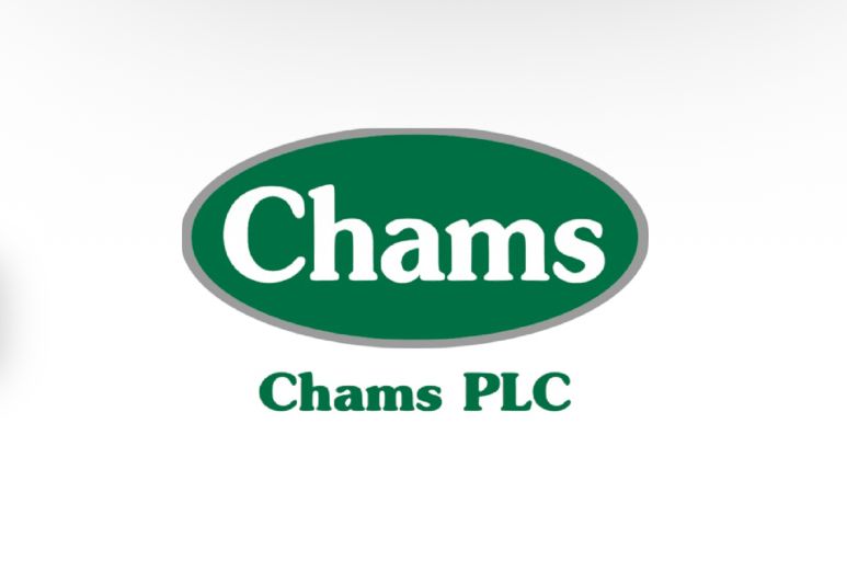 Chams HoldCo appoints new board of directors chair