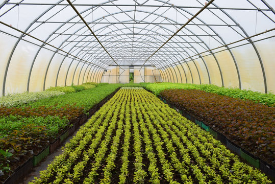 Jigawa okays ₦2.4b for greenhouse tech, road compensation, students’ welfare