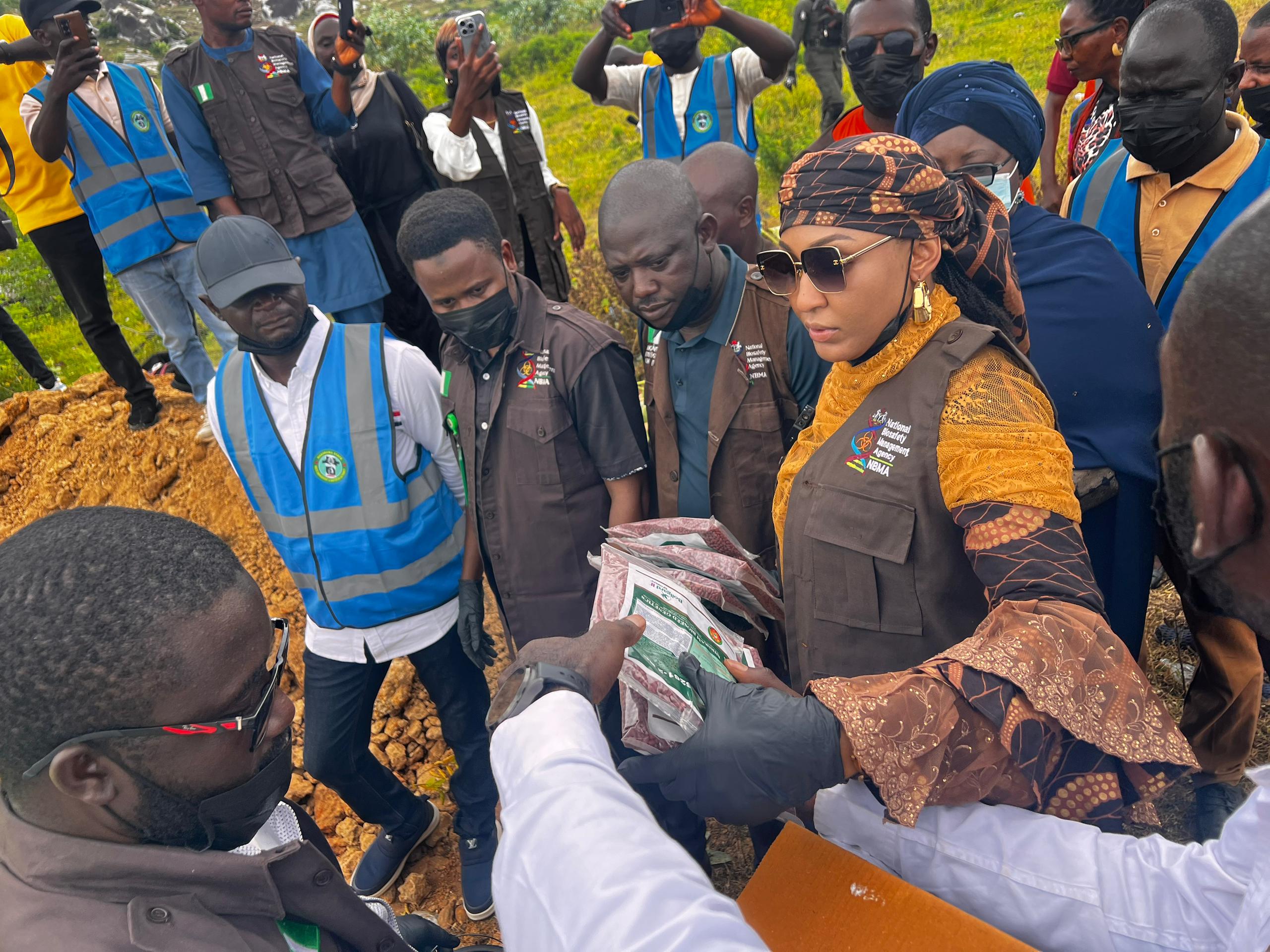 NBMA disposes of 950kg of unapproved GM cotton seeds