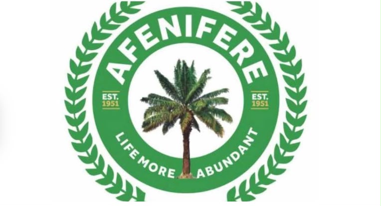State police: Afenifere weighs in, urging NASS to make it independent