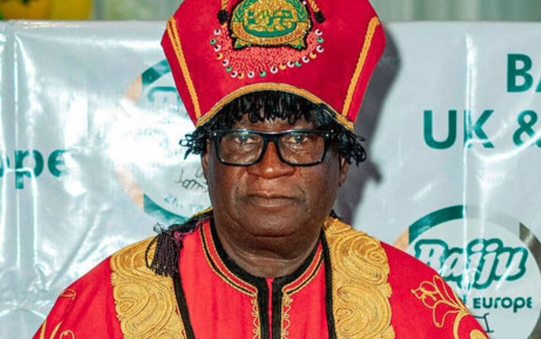 INTERVIEW: How Bajju Diaspora can transform development back home — Agwam Bajju II