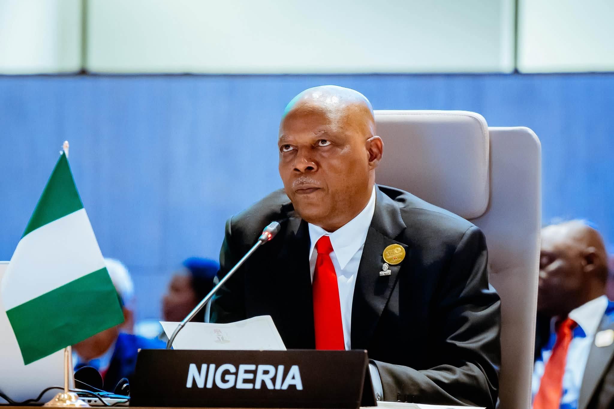 Xenophobia: Nigeria urges AU to take stronger action against South Africa