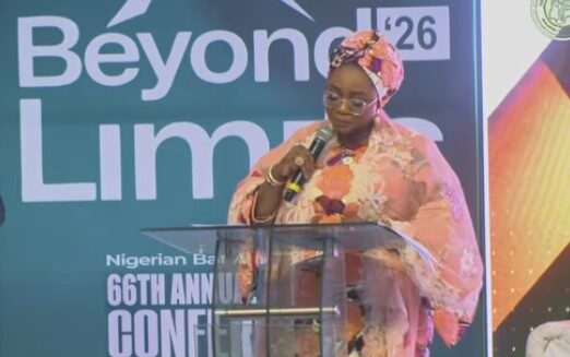 26,000 Nigerian children enter custody yearly, most without lawyers — Minister