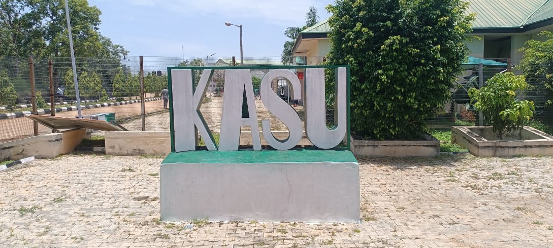 Over 200 Kaduna university lecturers quit over poor pay, ASUU says, threatens indefinite strike