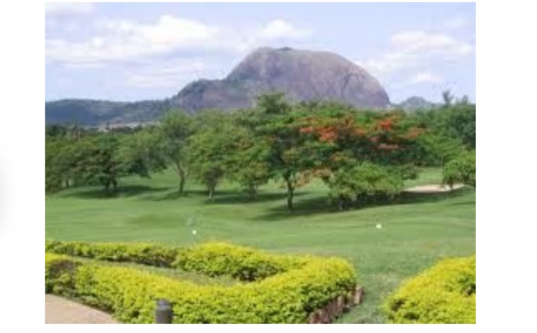 Wike orders crackdown on car dealers operating in Abuja’s green areas