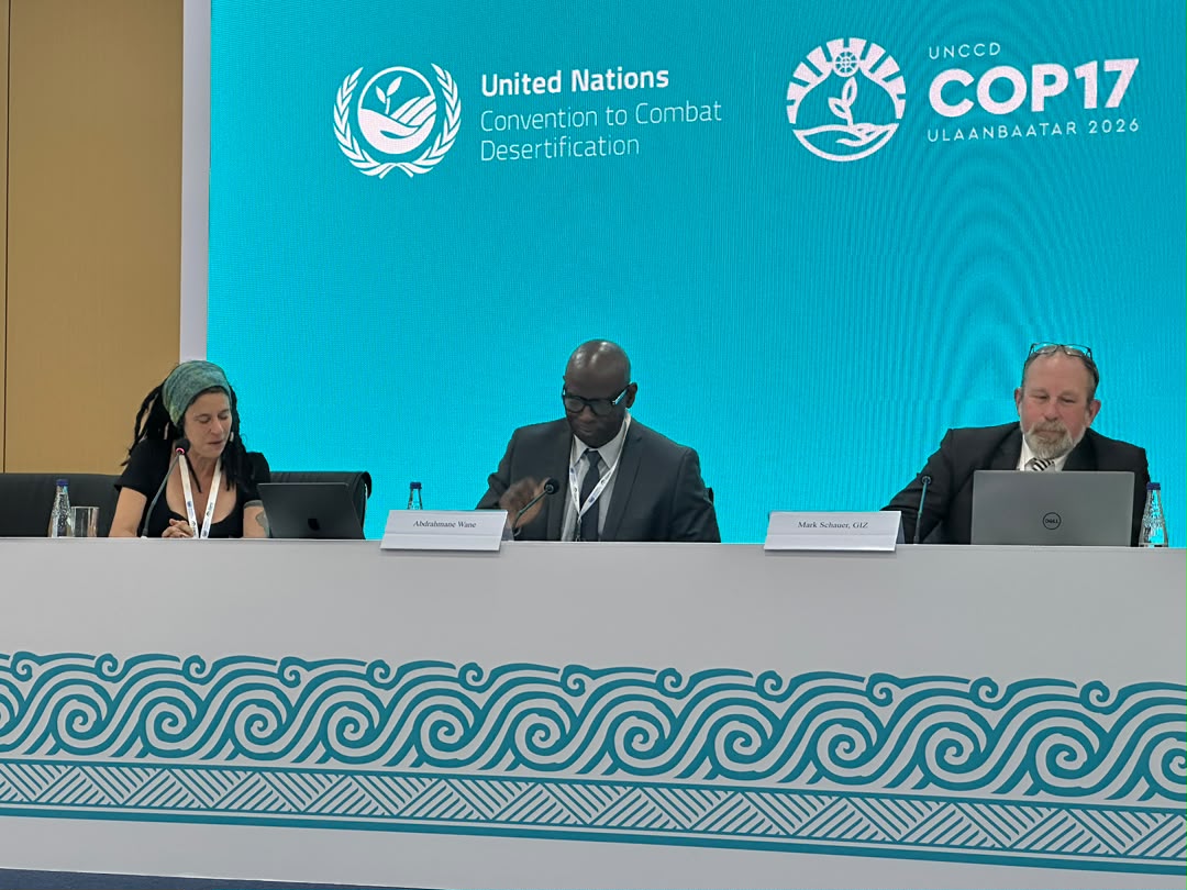 COP17: Rangeland restoration offers investors up to six-fold returns – Experts