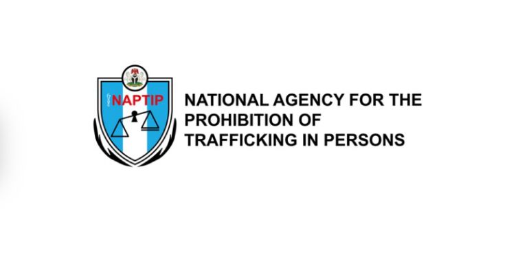 Owed workers allegedly attempt selling employer’s child – NAPTIP