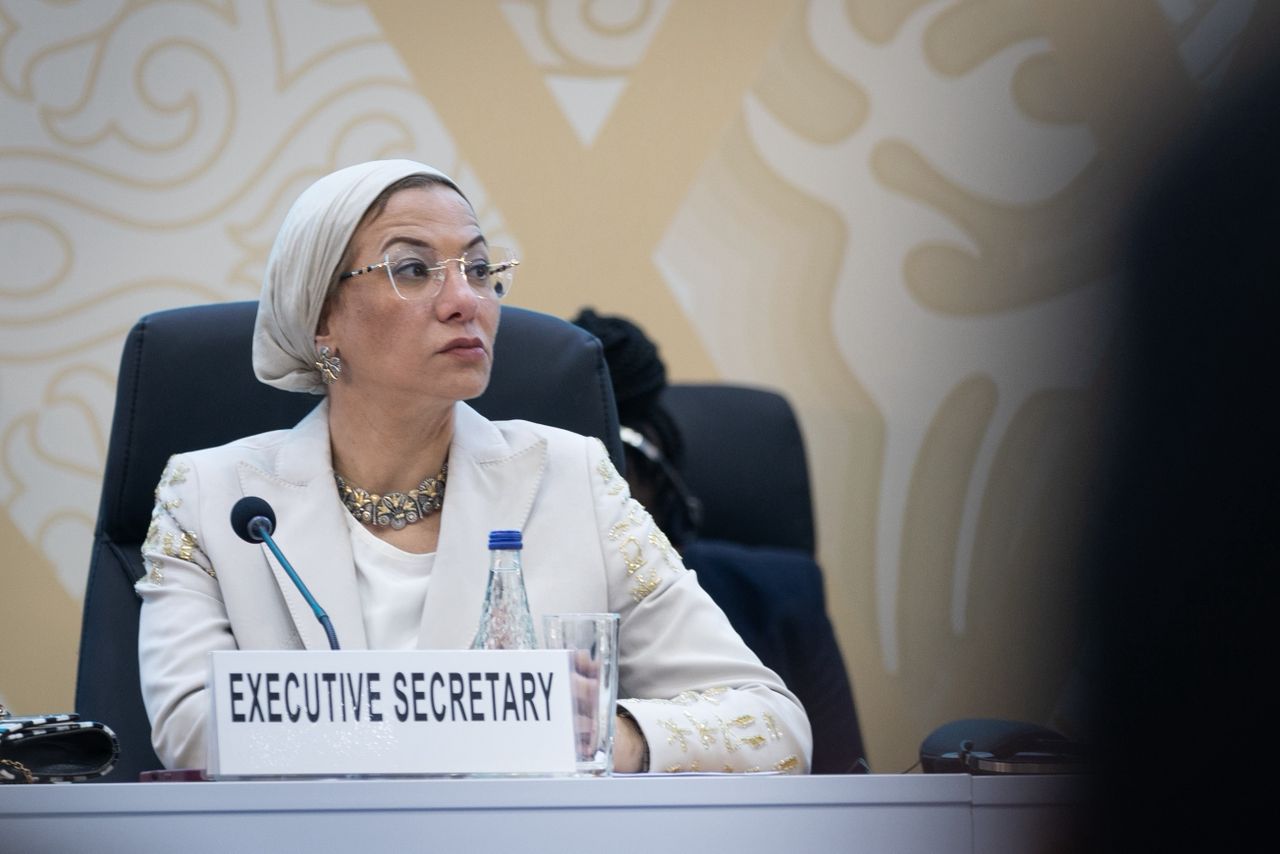 COP17: UNCCD chief says success must go beyond promises to implementation