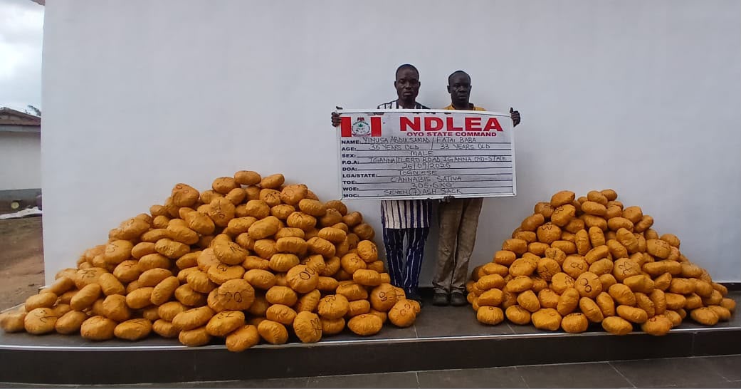 NDLEA intercepts N3bn opioids at Lagos airport, arrests man with 72 cocaine wraps