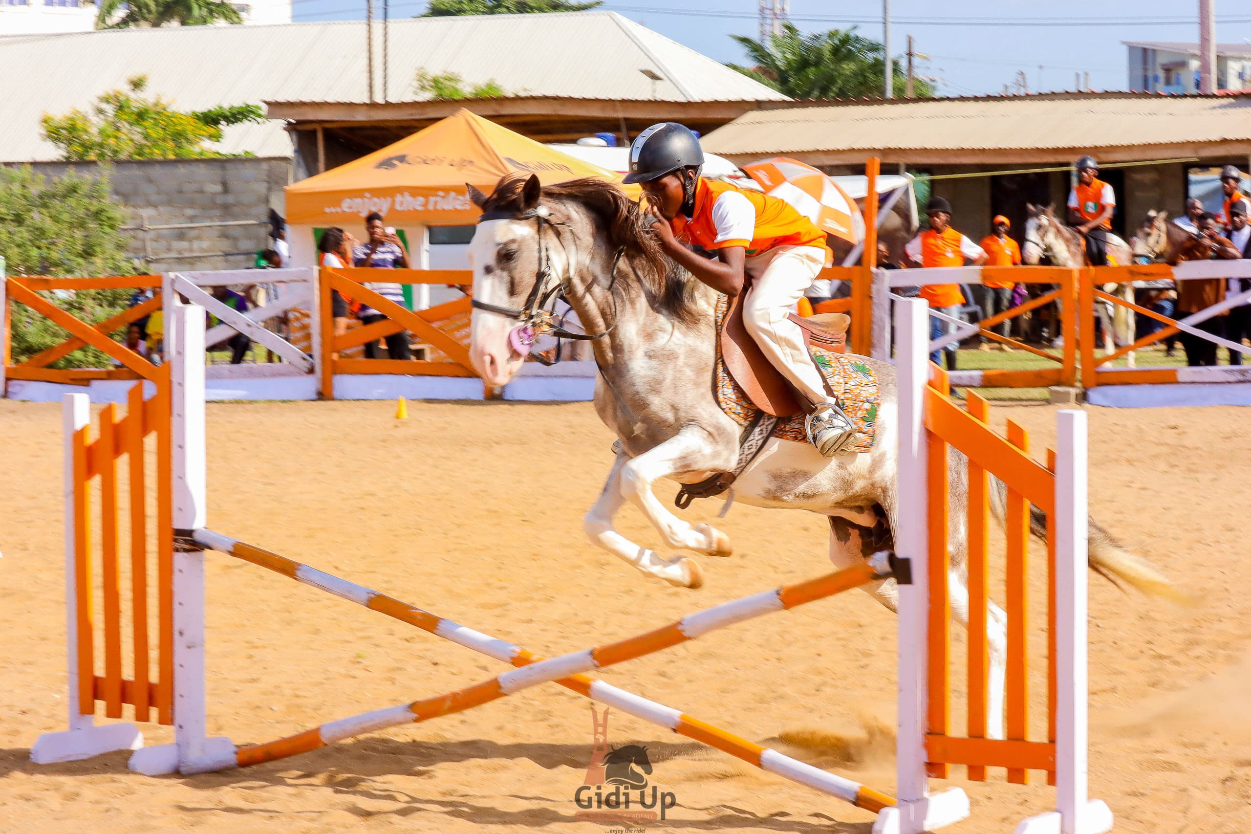 FEI delegation set for four-day Nigeria visit over equestrian affiliation bid