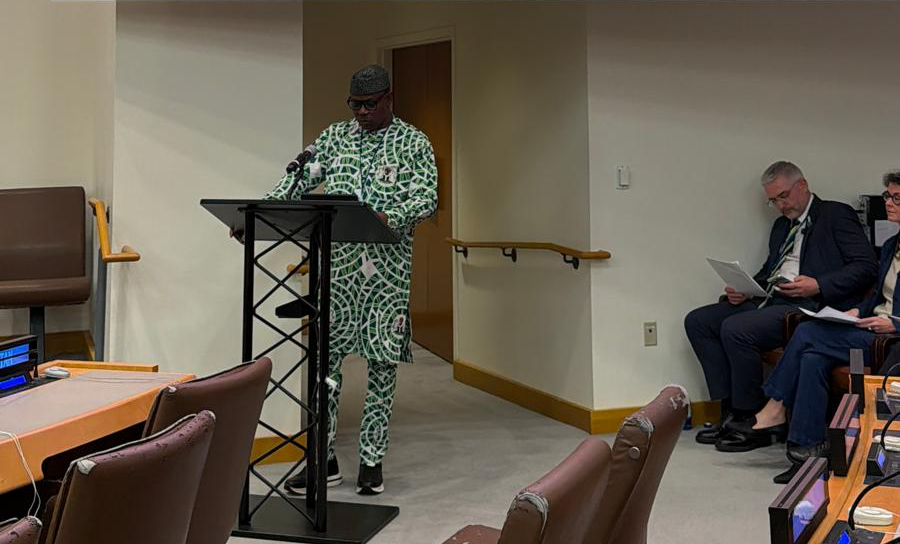 Nigeria demands fairer pandemic financing, vaccine access at UN meeting