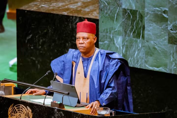 Africa’s exclusion from UN Security Council undermines fairness – Shettima