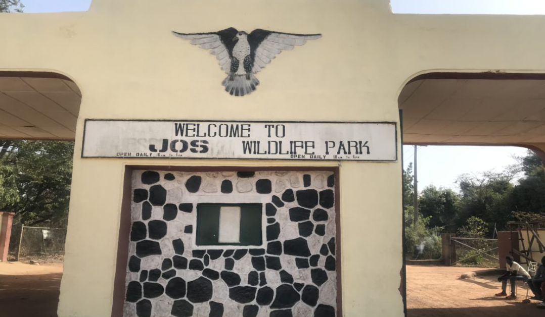Mutilated corpse of woman found in Jos wildlife forest reserve