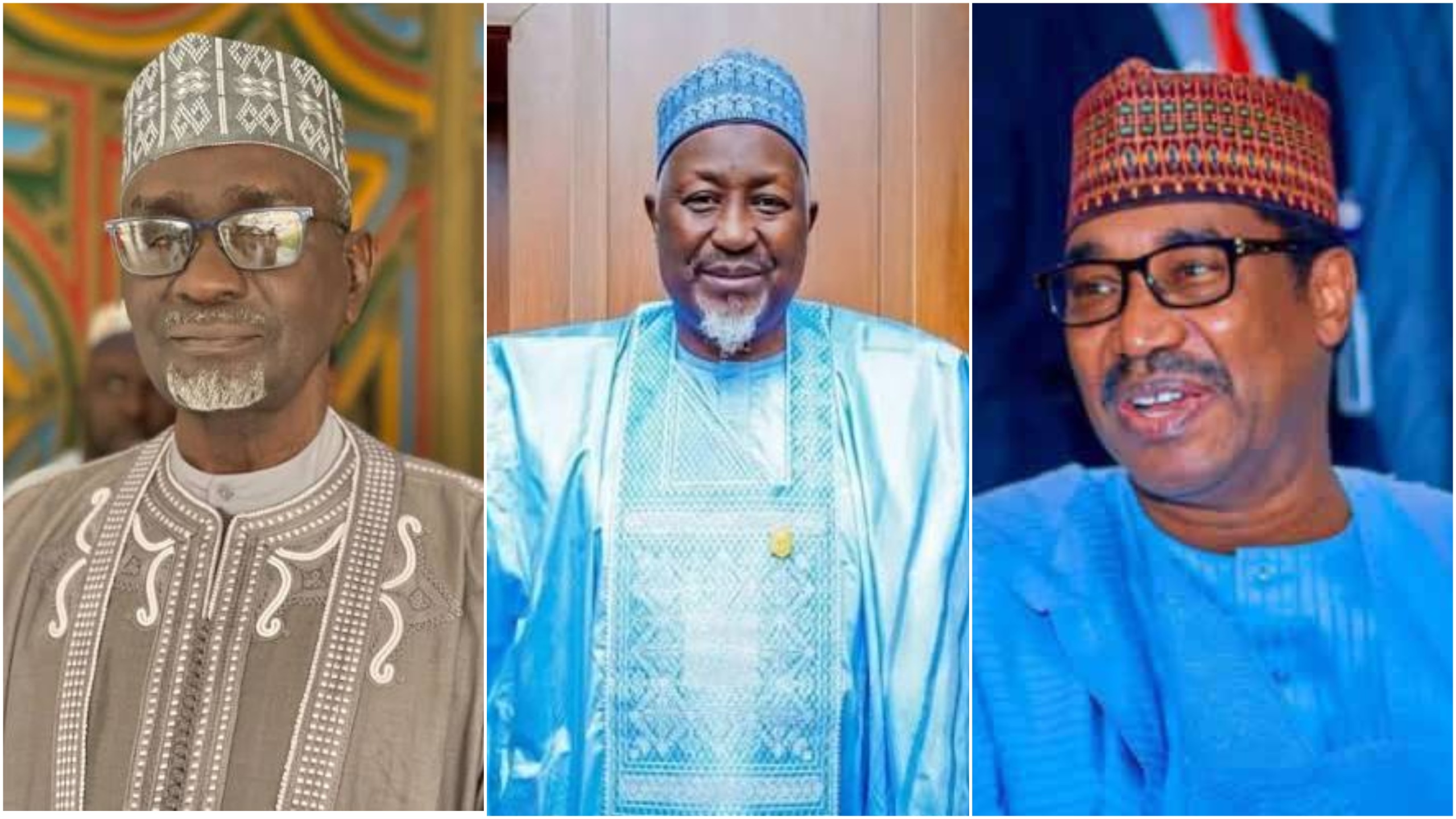 2027: Shekarau, Shema, Geidam, Badaru, others form Tinubu’s reelection mobilisation group