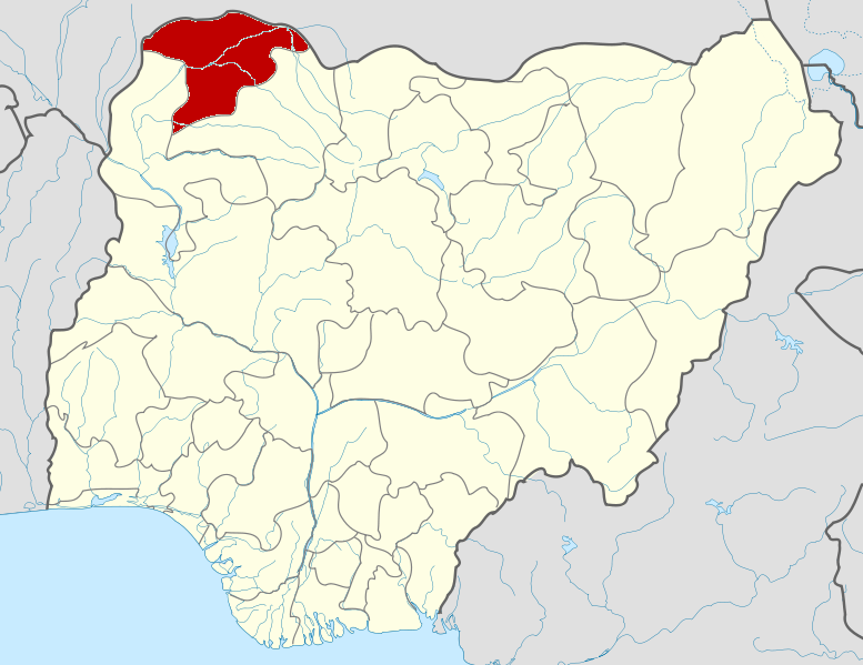 Displaced people, 14 children among 33 detainees who died in Niger NSCDC custody – Report