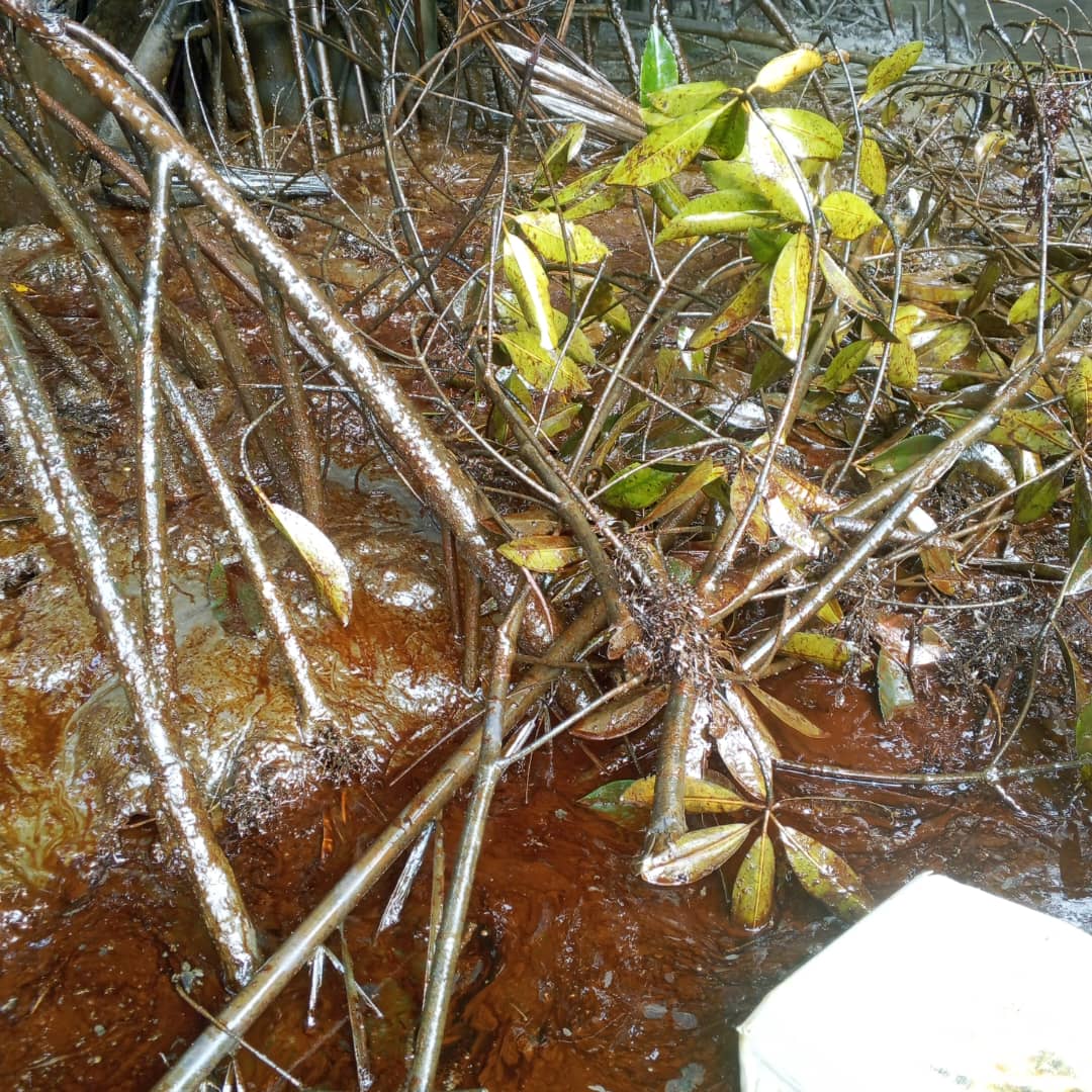 Oil spill hits Akwa Ibom oil community as NOSDRA probes source