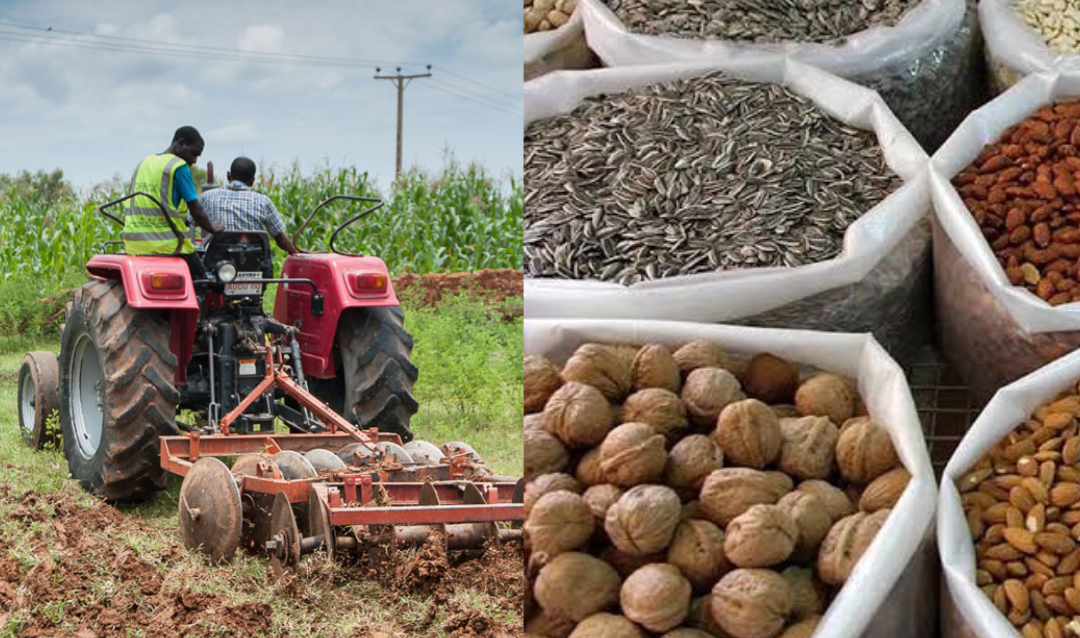 Uyo to host 5th Agribusiness conference, organisers target investment, jobs