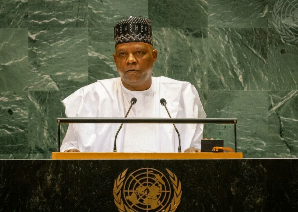 Shettima seeks support for Renewed Hope Agenda in New York