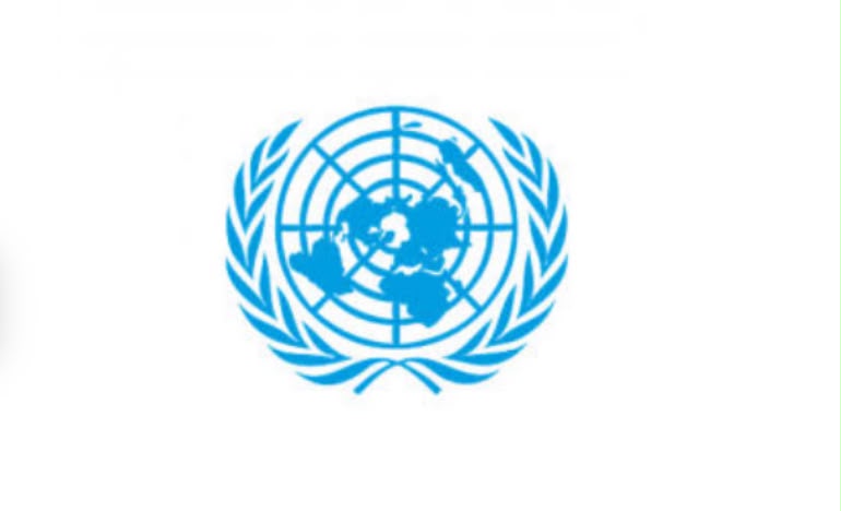 UK joins call to limit UN Security Council veto
