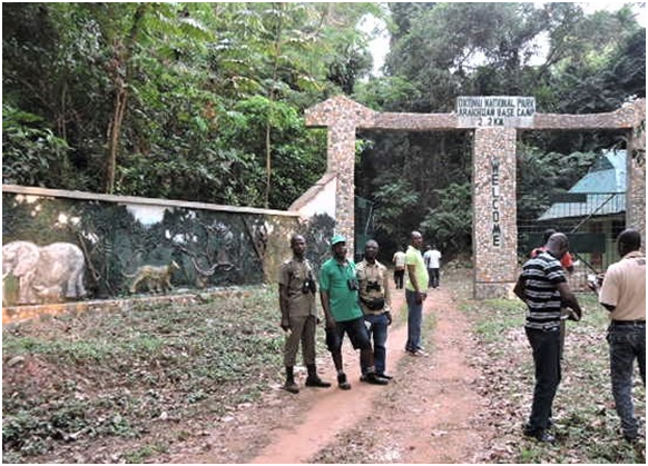 Cross River, Okomu National Parks added to CITES elephant monitoring network