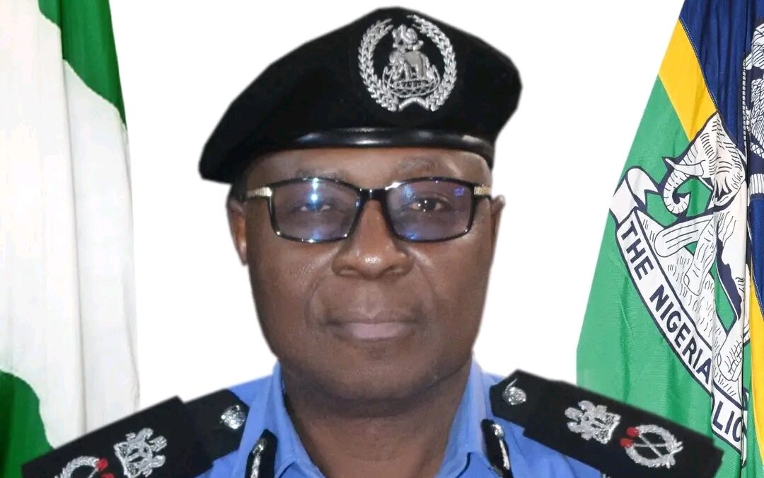 Benue police rescue 29 kidnap victims, arrest 34 foreigners