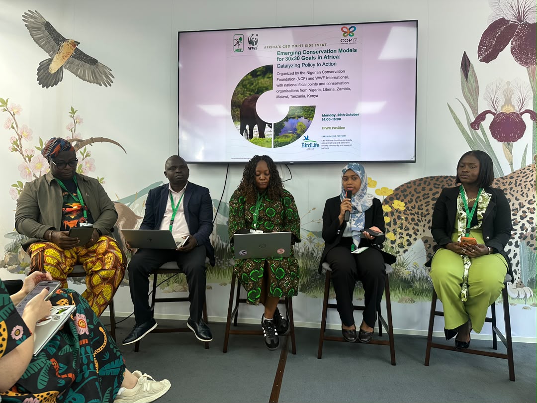 CBD COP17: Experts explore new conservation models to advance Africa’s 30×30 goals