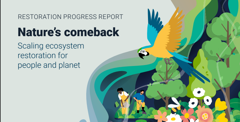 Nature is making a comeback, but the world must move faster to meet restoration targets – UN Report