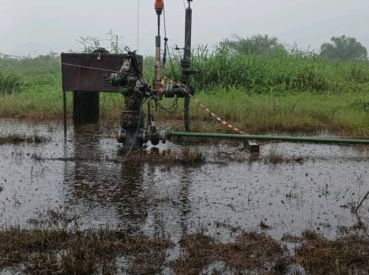 Delta records highest oil spill as nine incidents release nearly 130,000 litres of crude