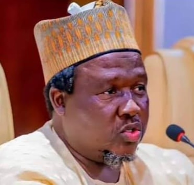 Wazirin Tinubu: The influence and burden of Ibrahim Masari, By Umar Farouk Bala