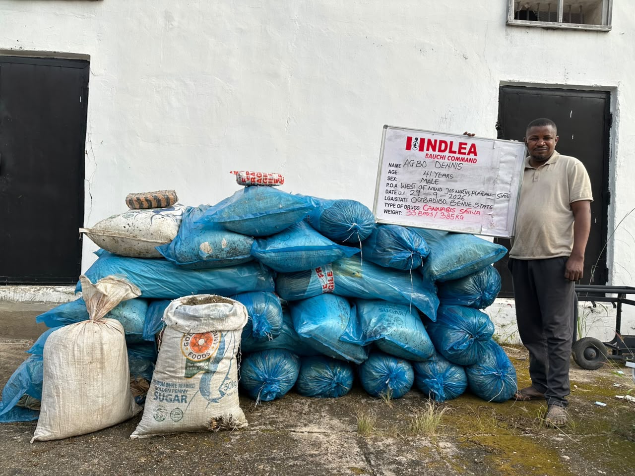 NDLEA intercepts N5bn cannabis, codeine consignments at Lagos, Onne ports
