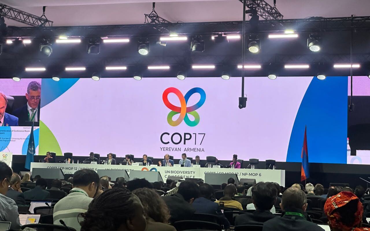 CBD COP17: Global biodiversity fund receives $60 million in new pledges