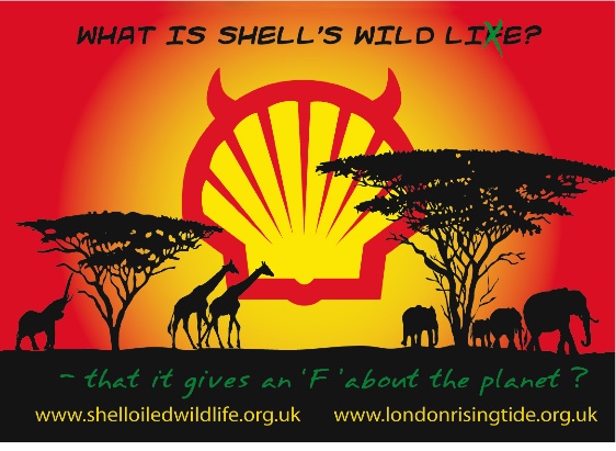 There have been allegations of environmental and human rights abuses against Shell